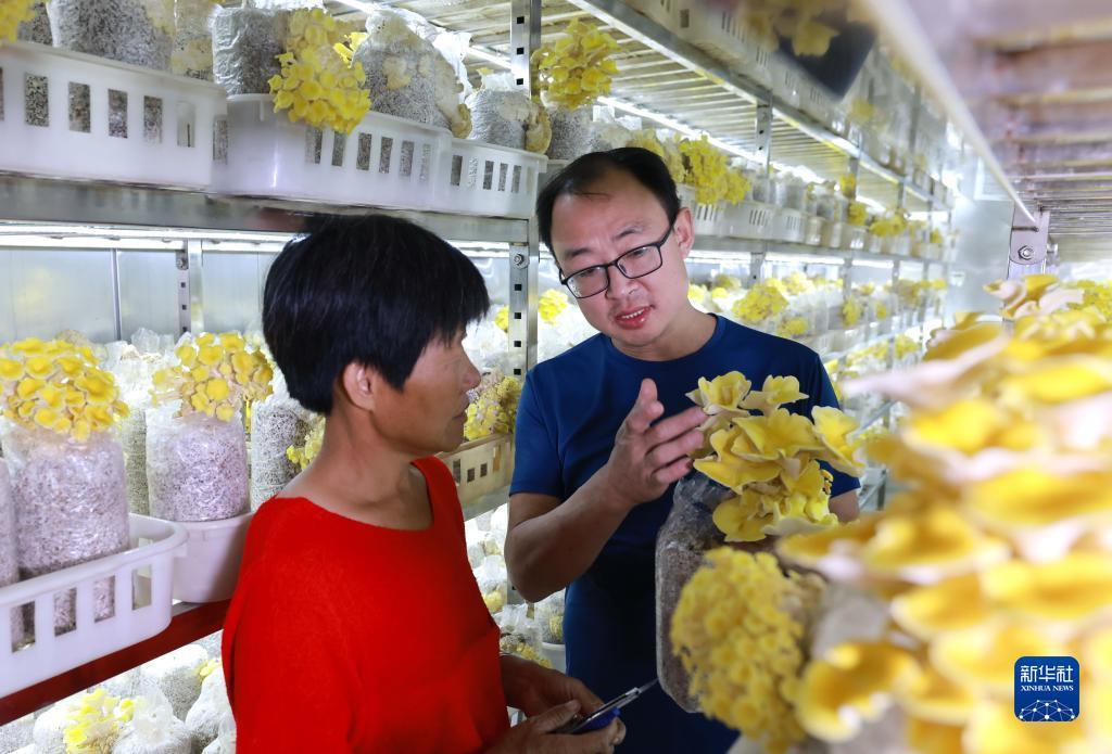 真钱官网现金